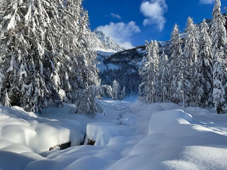 Ferienwohnung 10 Bel-Alp Chamonix 0*,